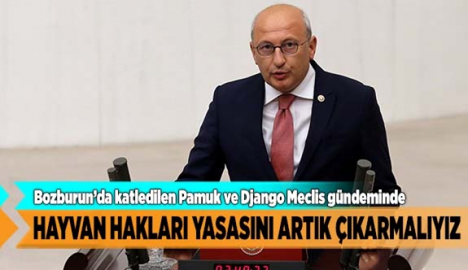 Can yoldaşlarımız için hayvan hakları yasasını artık çıkarmalıyız