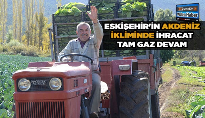 Eskişehir'in Akdeniz'inde ihracat tam gaz devam
