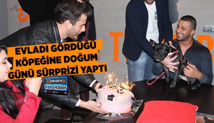 EVLADI GÖRDÜĞÜ KÖPEĞİNE DOĞUM GÜNÜ SÜRPRİZİ YAPTI