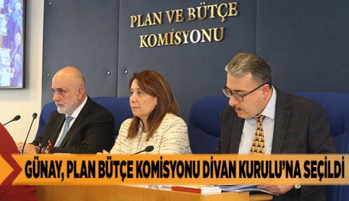 GÜNAY TEKRAR PLAN BÜTÇE KOMİSYONU DİVAN KURULU’NA SEÇİLDİ