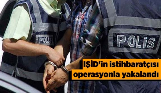 IŞİD'in istihbaratçısı operasyonla yakalandı