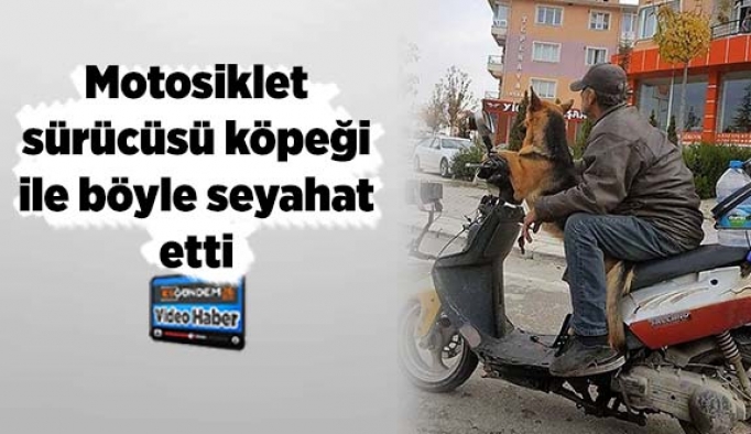 Motosiklet sürücüsü köpeği ile böyle seyahat etti