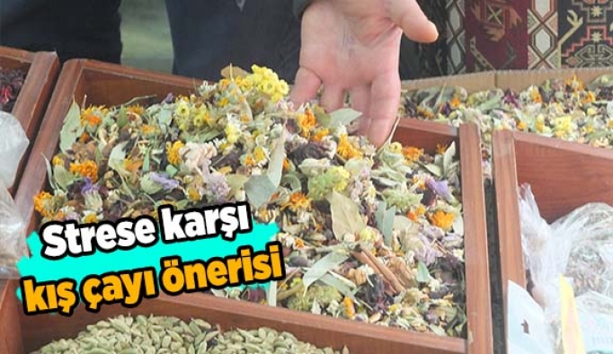 Strese karşı kış çayı önerisi