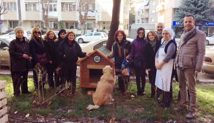 CANLARA YENİ KULÜBELER