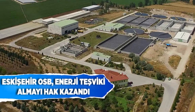 ESKİŞEHİR OSB ENERJİ TEŞVİKİ ALMAYI HAK KAZANDI