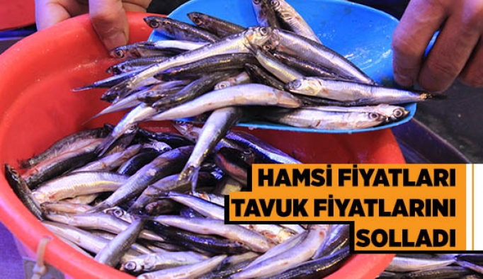 Hamsi fiyatları tavuk fiyatlarını solladı