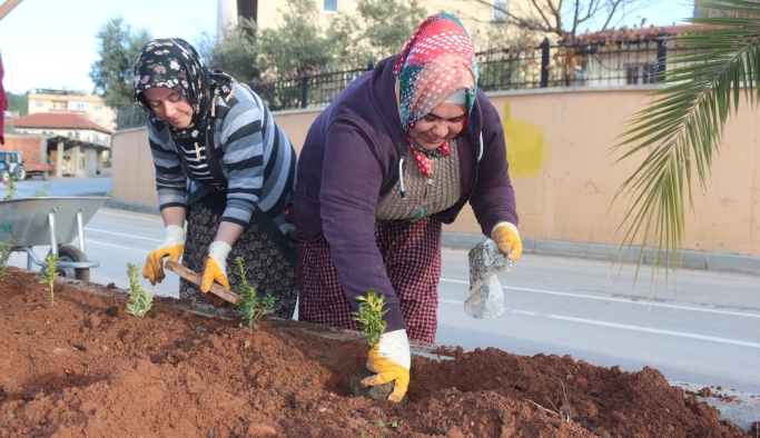 Kadınlar 3 bin fidan dikti