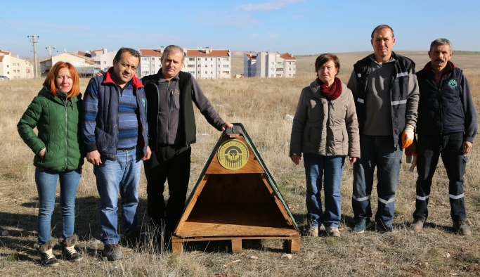 Odunpazarı Belediyesi sokak hayvanlarını unutmadı