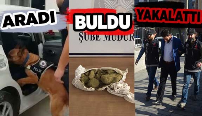 Şüpheli otomobildeki uyuşturucuyu narkotik arama köpeği Lady buldu