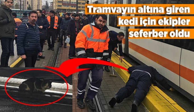 Tramvayın altına giren kedi için vatandaş seferber oldu