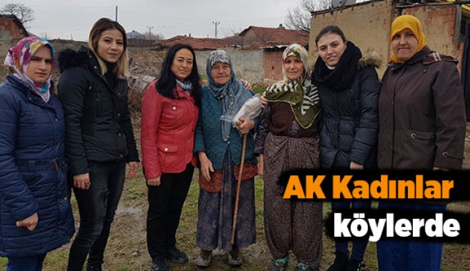 AK Kadınlar Köylerde