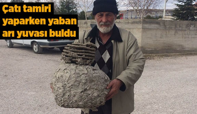 Çatı tamiri yaparken yaban arı yuvası buldu