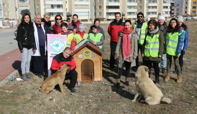 Odunpazarı’nda sokaktaki canları evsiz bırakmıyorlar