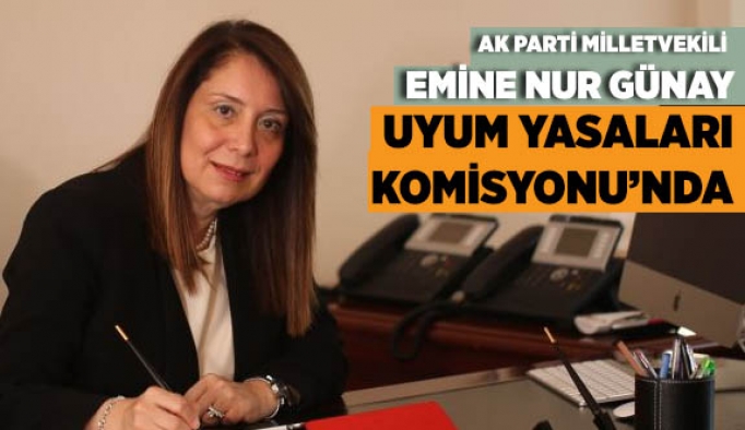 PROF. DR. GÜNAY UYUM YASALARI KOMİSYONUNDA