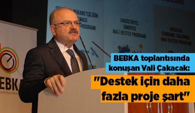 Vali Özdemir Çakacak: "Destek için daha fazla proje şart"
