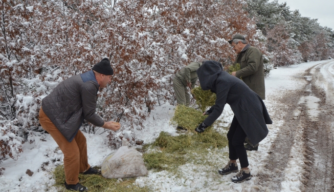 Yaban hayvanları için doğaya yem bırakıldı