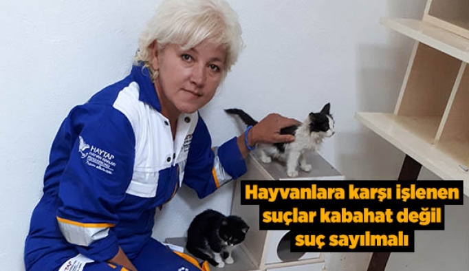 Yasa tasarısı tartışılırken hayvanlar katledilmeye devam ediyor