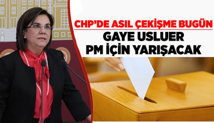 GAYE USLUER, CHP PARTİ MECLİSİ İÇİN YARIŞACAK