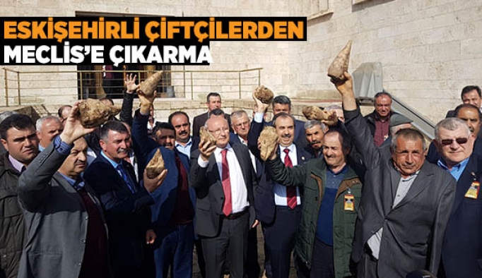 Eskişehirli çiftçilerden Meclis’e çıkarma