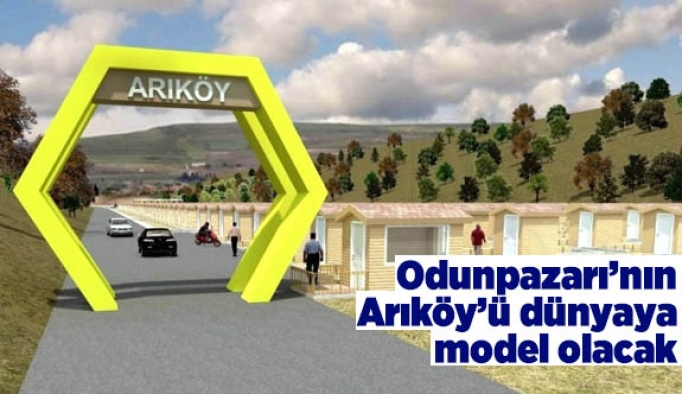 Odunpazarı’nın Arıköy’ü dünyaya model olacak