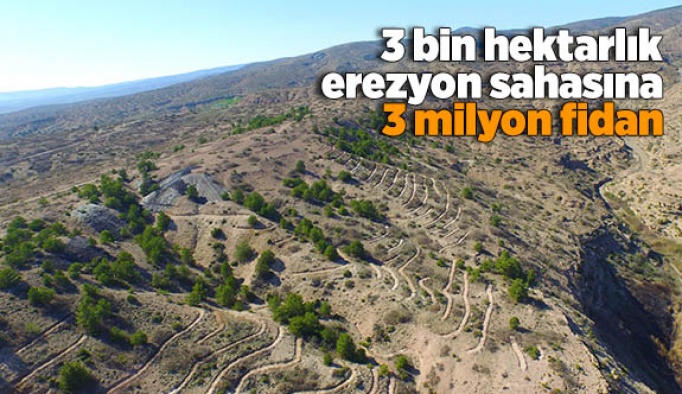 3 bin hektarlık erezyon sahasına 3 milyon fidan