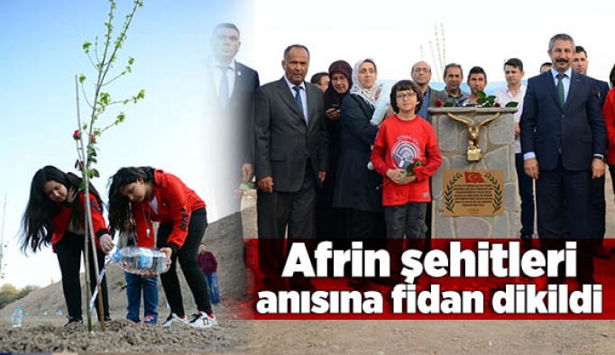 Afrin şehitleri anısına fidan dikildi