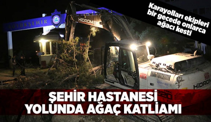 ŞEHİR HASTANESİ YOLUNDA AĞAÇ KATLİAMI