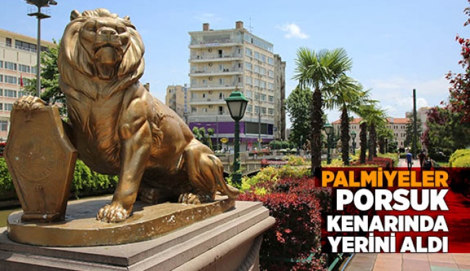 PALMİYELER PORSUK KENARINDA YERİNİ ALDI