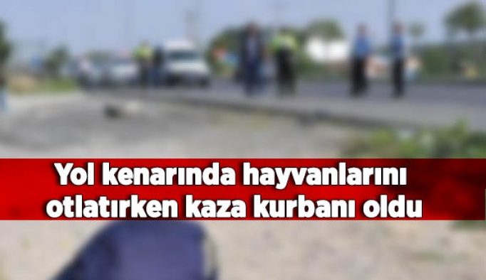 Yol kenarında hayvanlarını otlatırken kaza kurbanı oldu