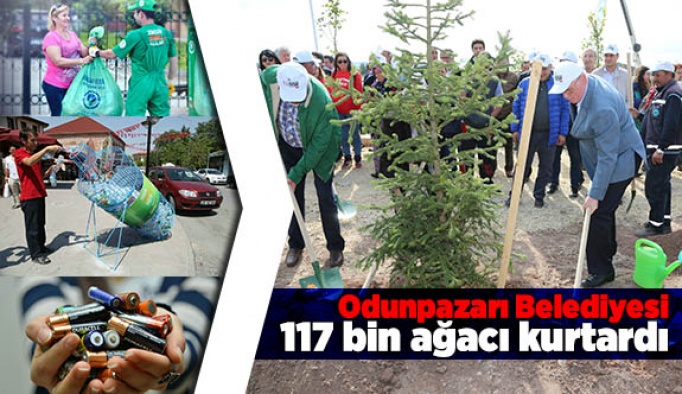 Odunpazarı Belediyesi 117 bin ağacı kurtardı