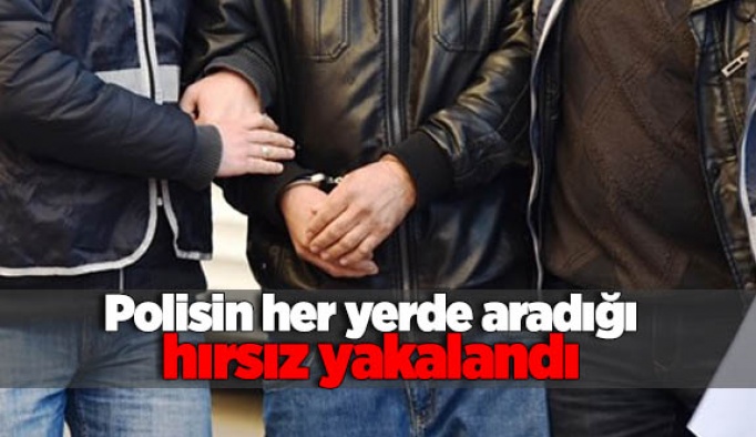 Polisin her yerde aradığı hırsız yakalandı