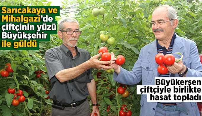 Büyükşehir’in domateslerinden çiftçiye 5 milyon gelir