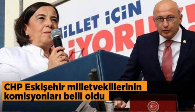 CHP Eskişehir milletvekillerinin komisyonları belli oldu