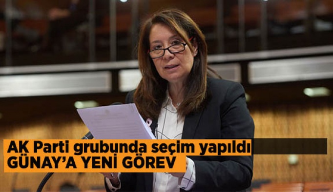 Emine Nur Günay'a yeni görev