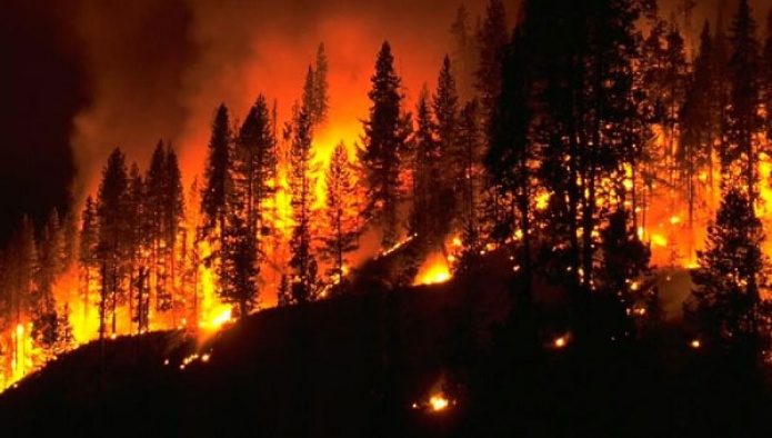 Orman yangını haritası açıklandı