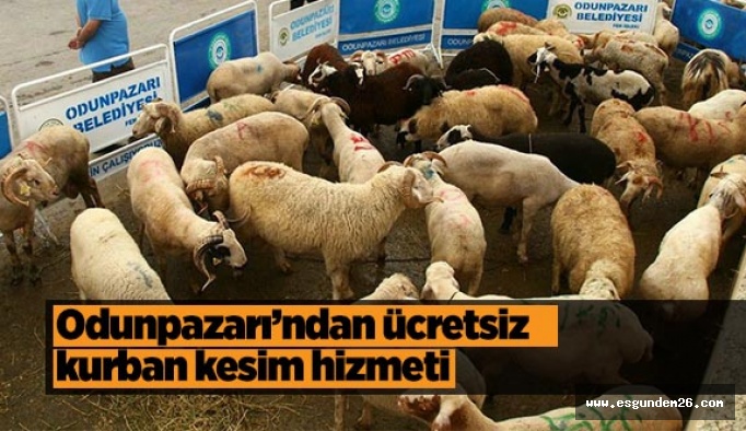 Odunpazarı’ndan ücretsiz kurban kesim hizmeti