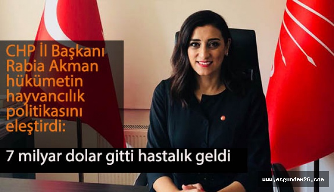 Rabia Akman “7 milyar dolar gitti, hastalık geldi”