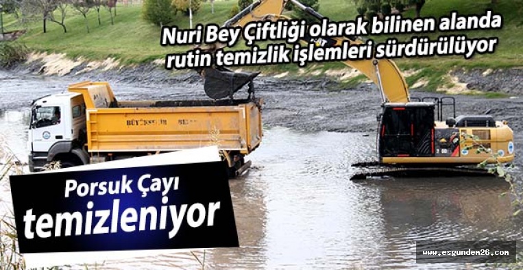 Porsuk Çayı temizleniyor