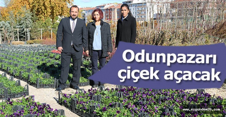 Park Bahçeler Müdürü Perk: Çiçek bahçesi gibi….