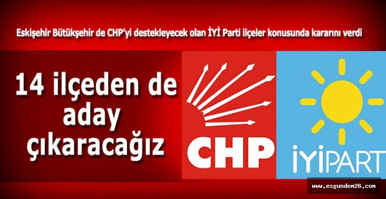 İYİ Parti ilçelerde aday çıkaracak