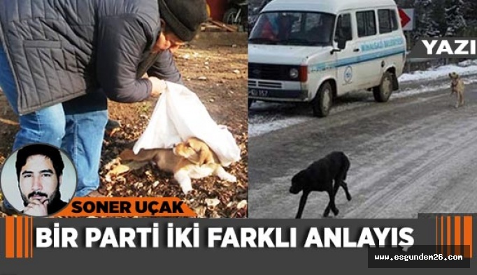 Bir parti iki farklı anlayış