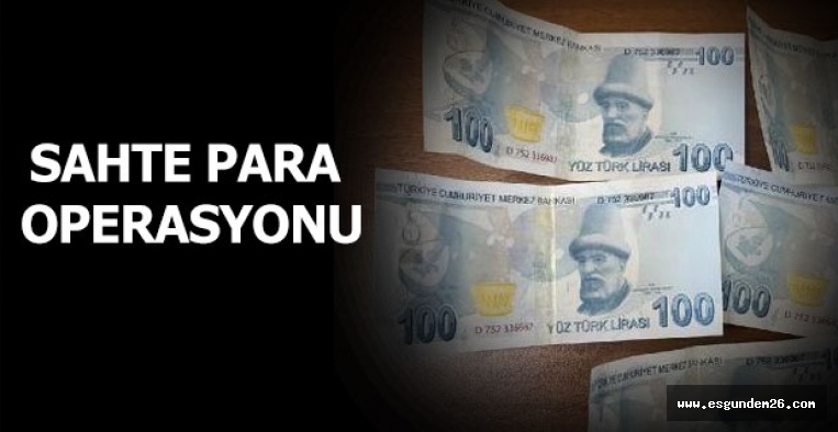 ESKİŞEHİR'DE SAHTE PARA OPERASYONU