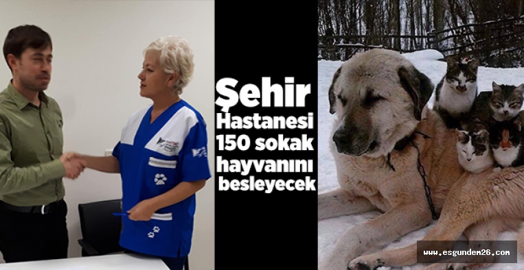 ŞEHİR HASTANESİ 150 SOKAK HAYVANINI BESLEYECEK