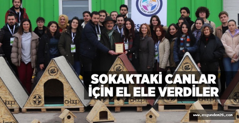 SOKAKTAKİ CANLAR İÇİN BARINAK YAPTILAR