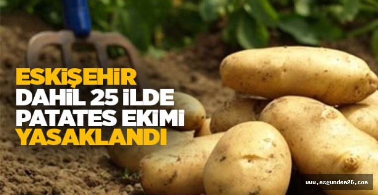 25 İLDE PATATES EKİMİ YASAKLANDI