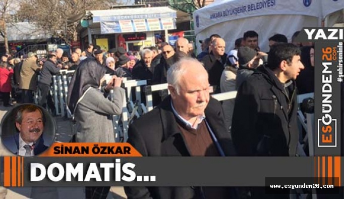 DOMATİS