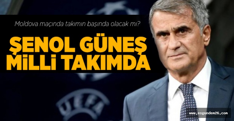 MİLLİ TAKIMDA ŞENOL GÜNEŞ DÖNEMİ