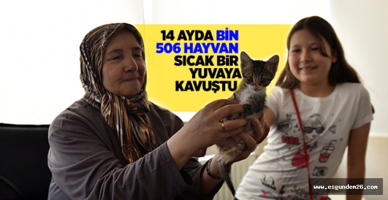 BİN 506 HAYVAN SICAK BİR YUVAYA KAVUŞTU