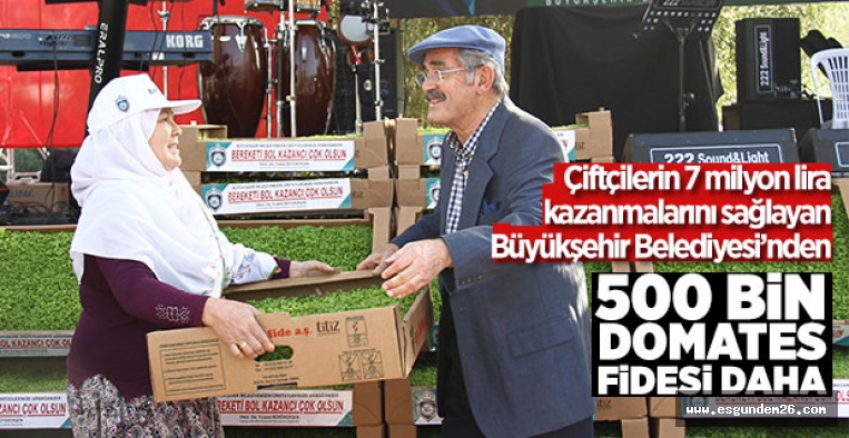 BÜYÜKŞEHİR'DEN 500 BİN DOMATES FİDESİ DAHA