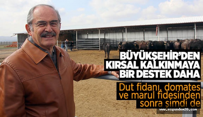 BÜYÜKŞEHİR’DEN KIRSAL KALKINMAYA BİR DESTEK DAHA